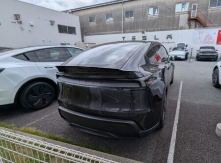 Model YL parked among other Teslas at the store, rear view