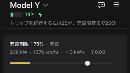 Charging screen at 19 percent back up to 238 kW