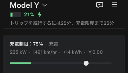 Charging screen at 21 percent showing 225 kW