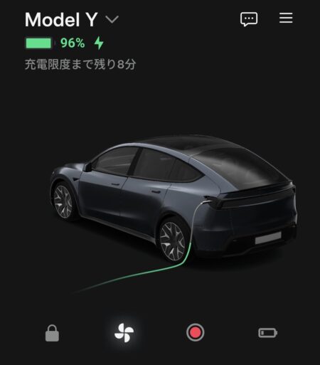 Tesla app charge status checked during the stop