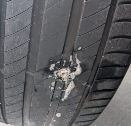 The trimmed plug flush with the tread