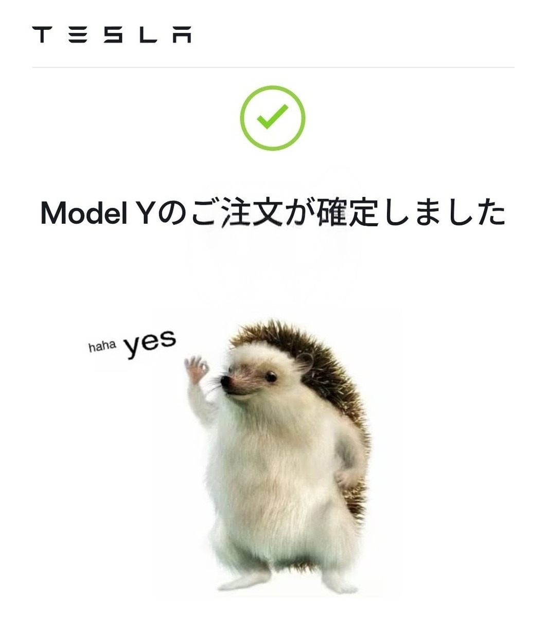 Model Yのご注文が確定しましたと表示されたテスラの注文完了画面