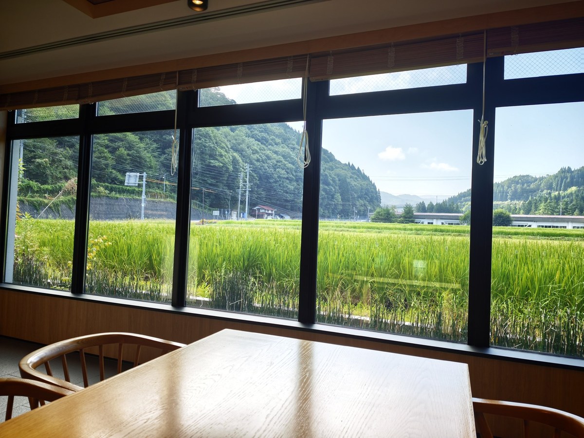 朝の窓から見た田園風景