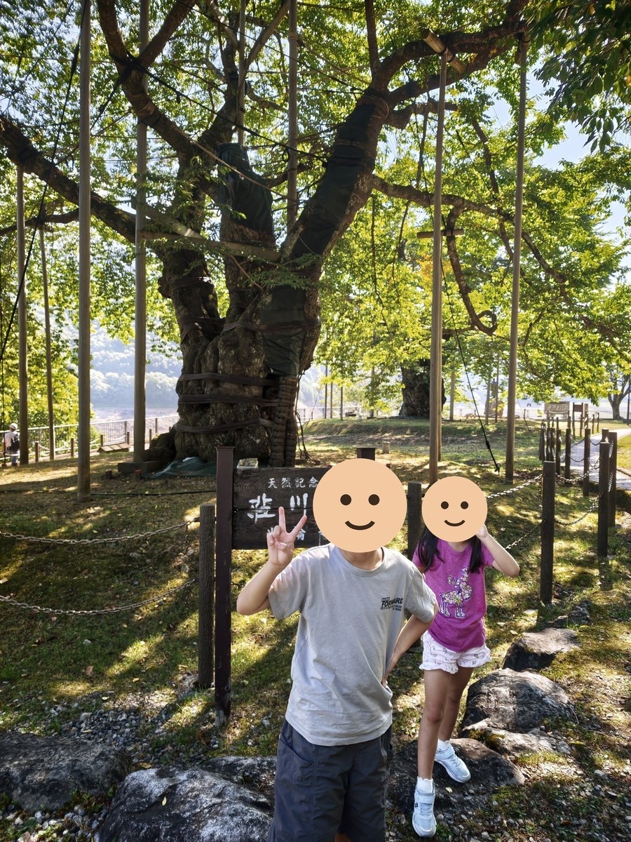 荘川桜の下に立つ子どもたち