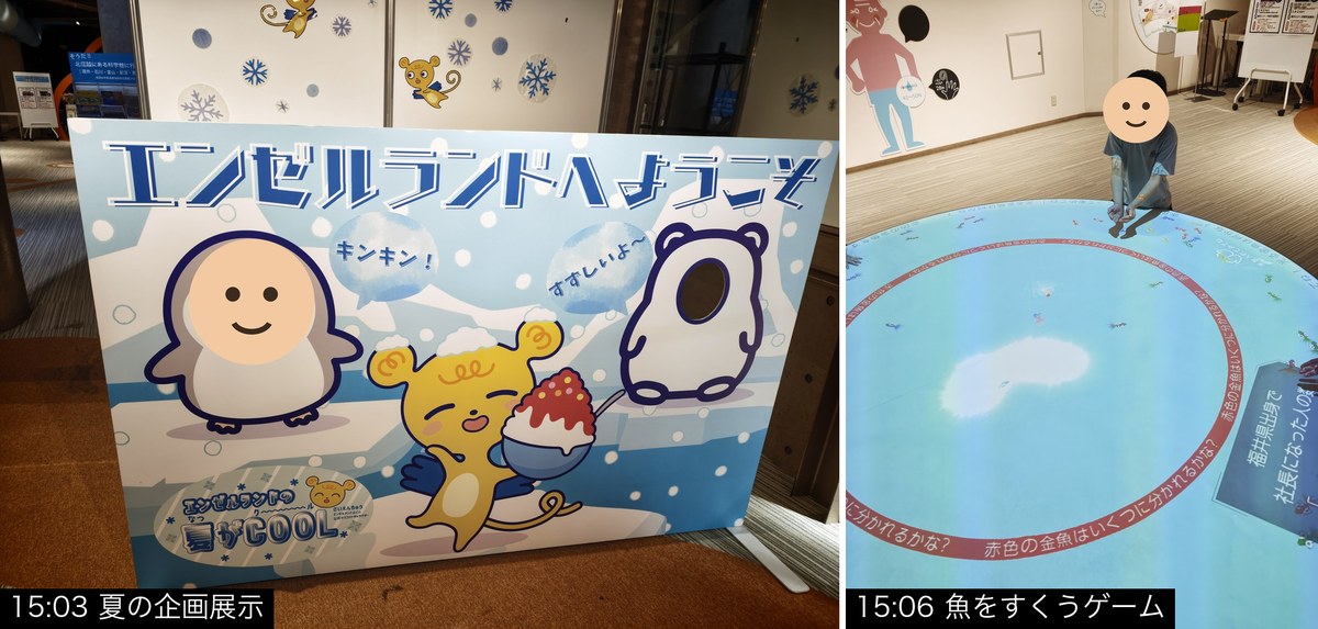 夏の企画展示の看板と、台の上に映る魚を手ですくうゲーム