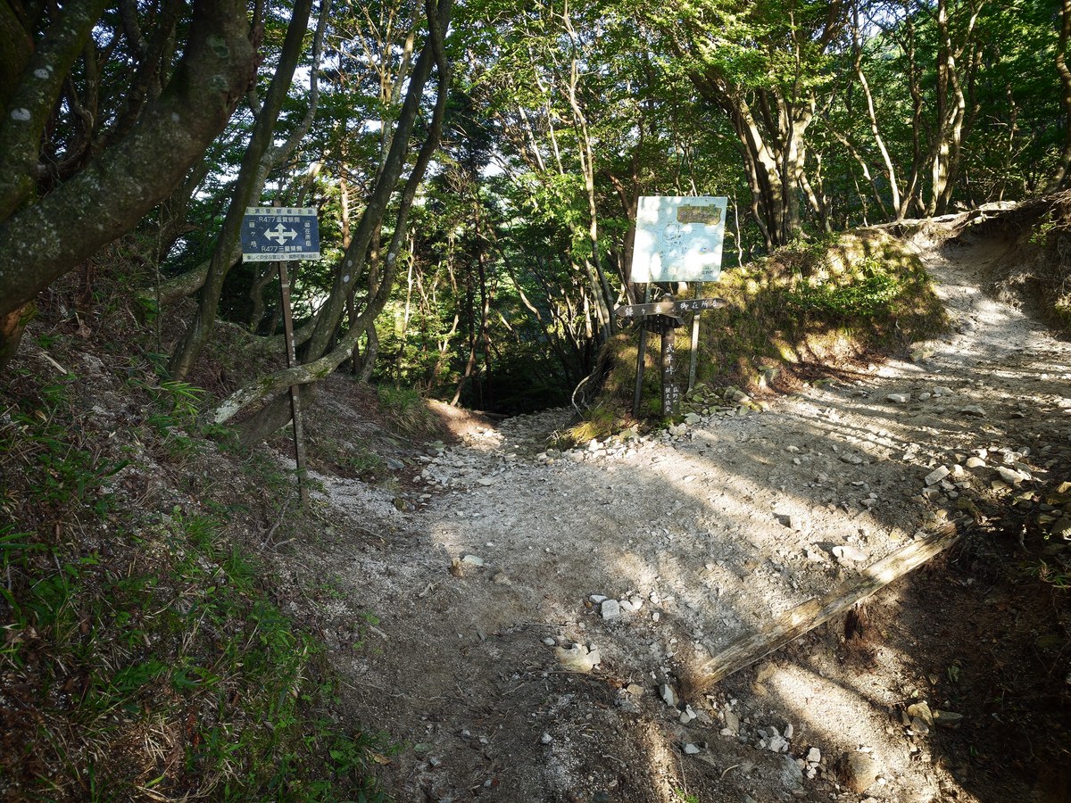 6時38分、武平峠付近の分岐に立つ道標