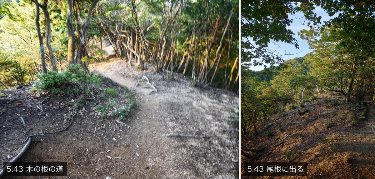 左が木の根の出た登山道、右が尾根に出たところ。どちらも5時43分