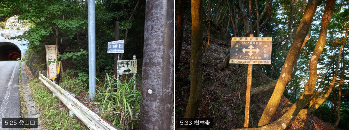 左が5時25分の武平峠登山口、右が5時33分の樹林帯に立つ道標