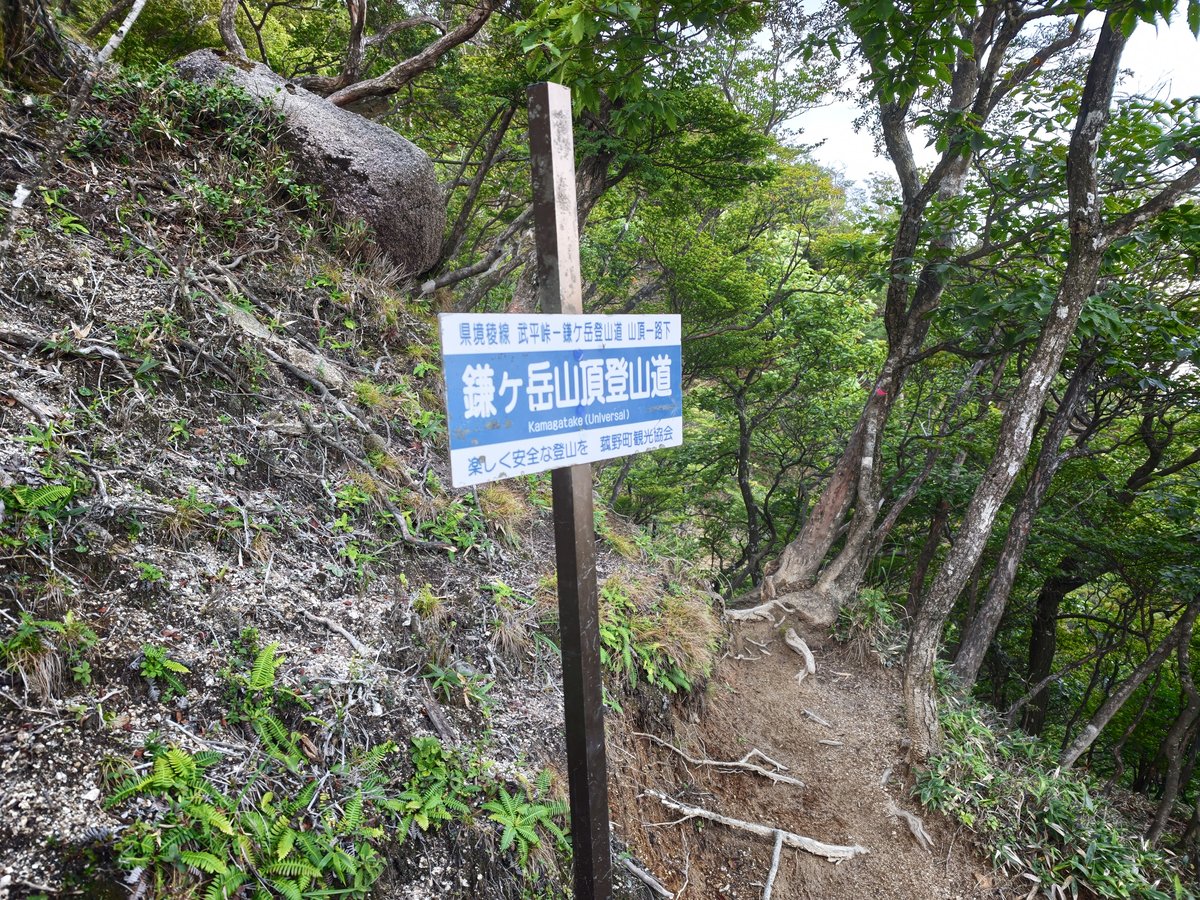 登山道の途中に立つ「鎌ヶ岳山頂登山道」の青い看板