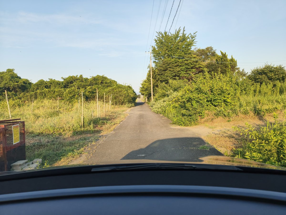 両側を畑と木に囲まれた細い一本道。テスラ Model YLの車内から撮影