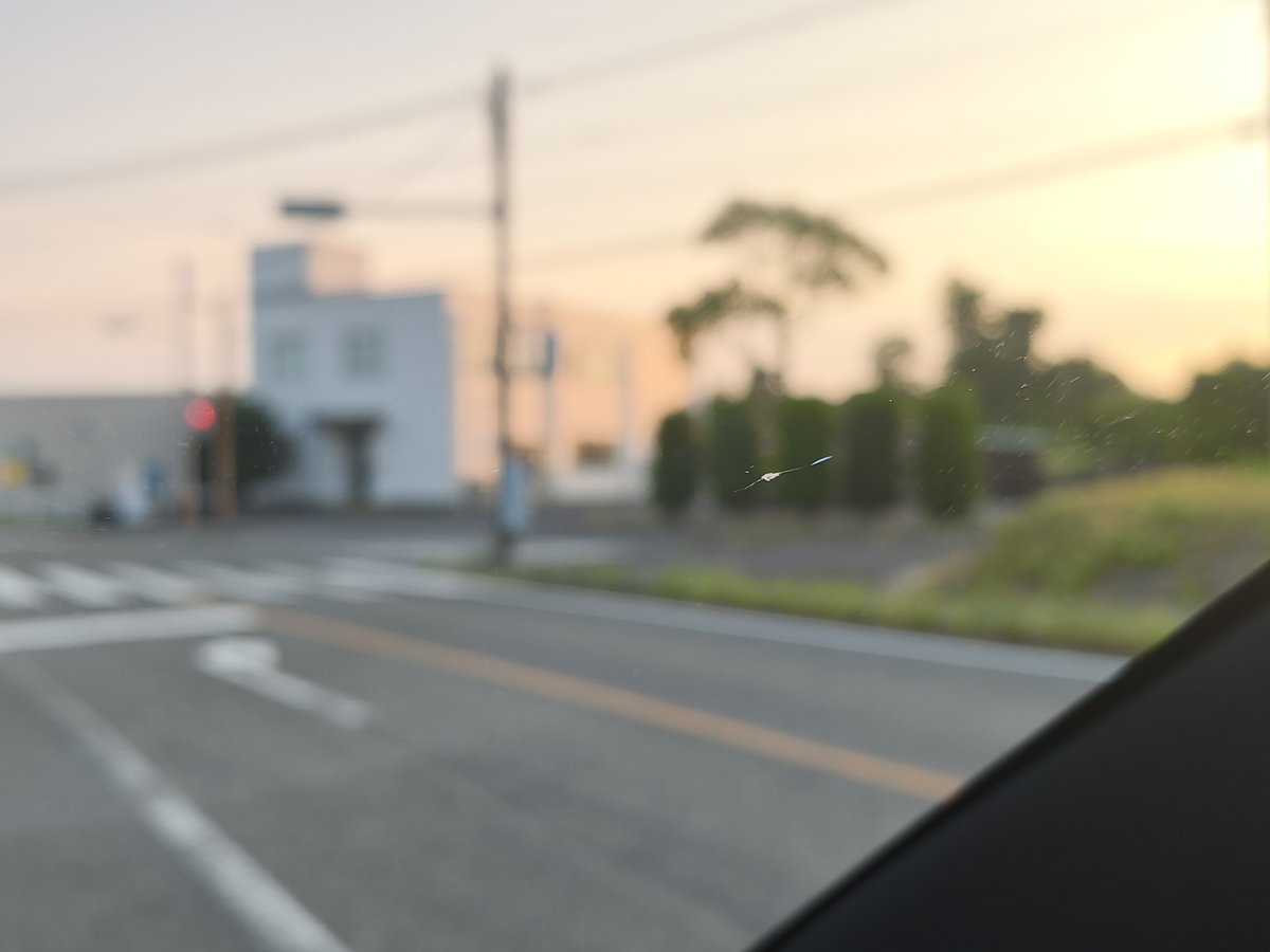 リペア後、車内から見上げたテスラ Model YLのフロントガラス。ヒビの跡がわずかに残っている