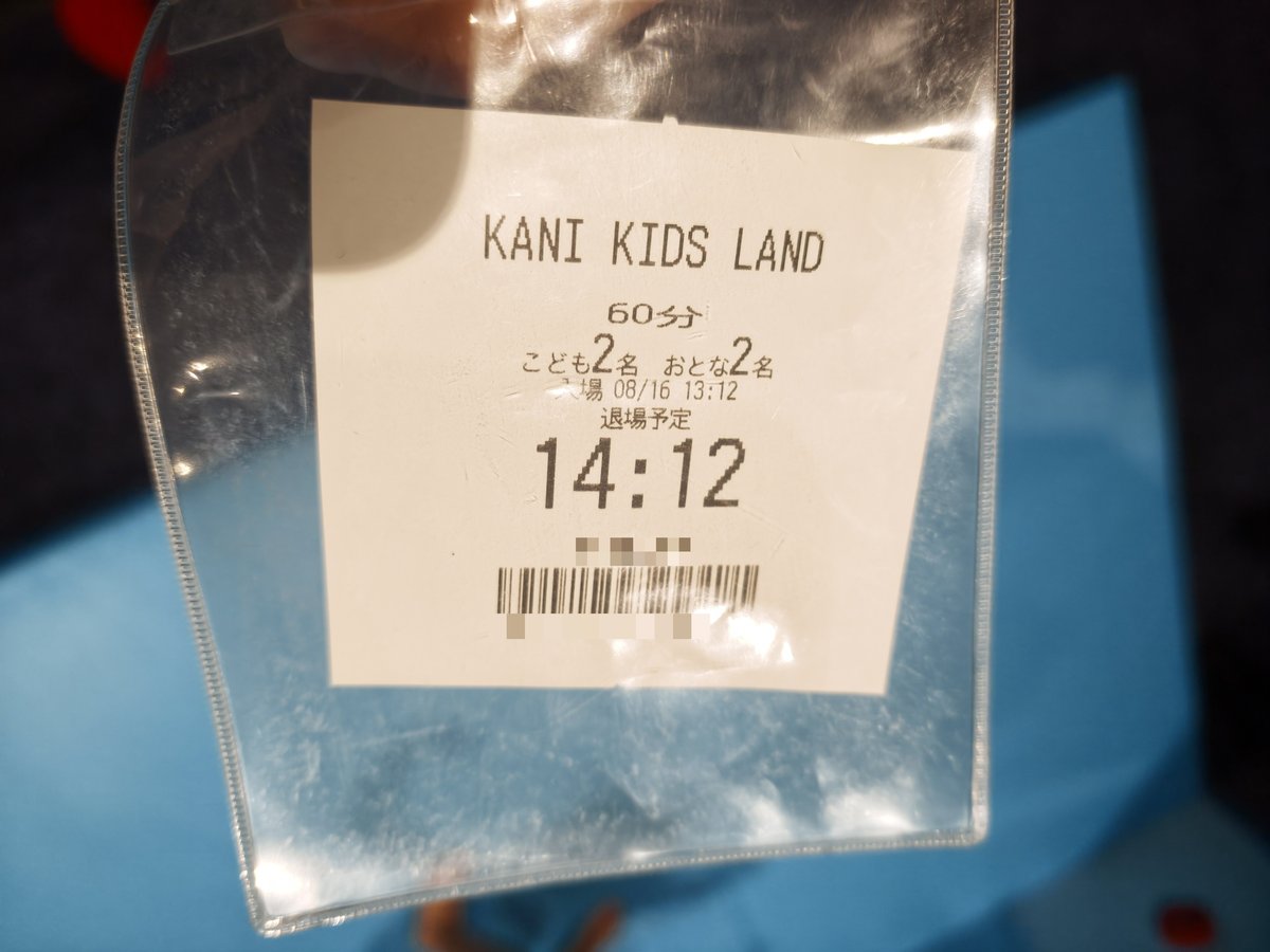 キッズランドのチケット。60分・こども2名おとな2名・退場予定14時12分と印字されている
