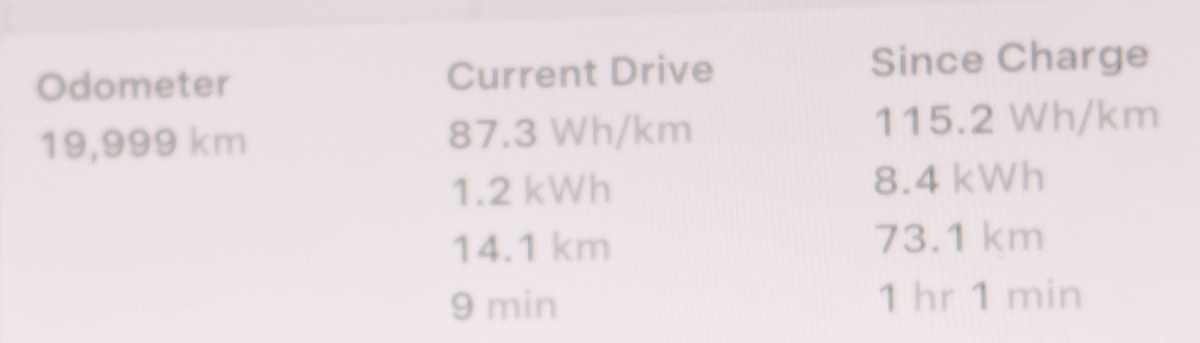 モデルYLのオドメーター表示19,999km。2万キロ到達の直前
